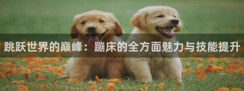 JJB竞技宝官方正版app集团logo:跳跃世界的巅峰:蹦床