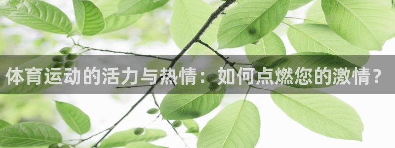 JJB竞技宝官网下载平台是正规平台吗安全吗:体育运动的活力与